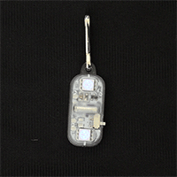 LED Zipper Pull Clip On Light