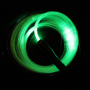 Fiber Optic Whip