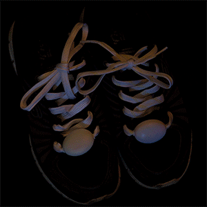 Light Up Shoelaces