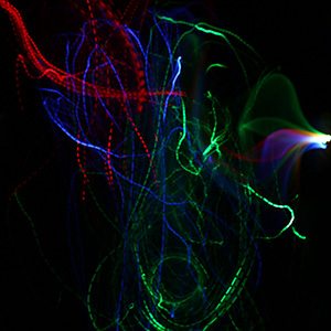 Fiber Optic Whip Light Show  Color Changing Mode 2